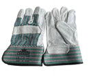 Canaquip Cow Split Leather Gloves (M/L/XL) - CSL321-C - 120 pair/carton